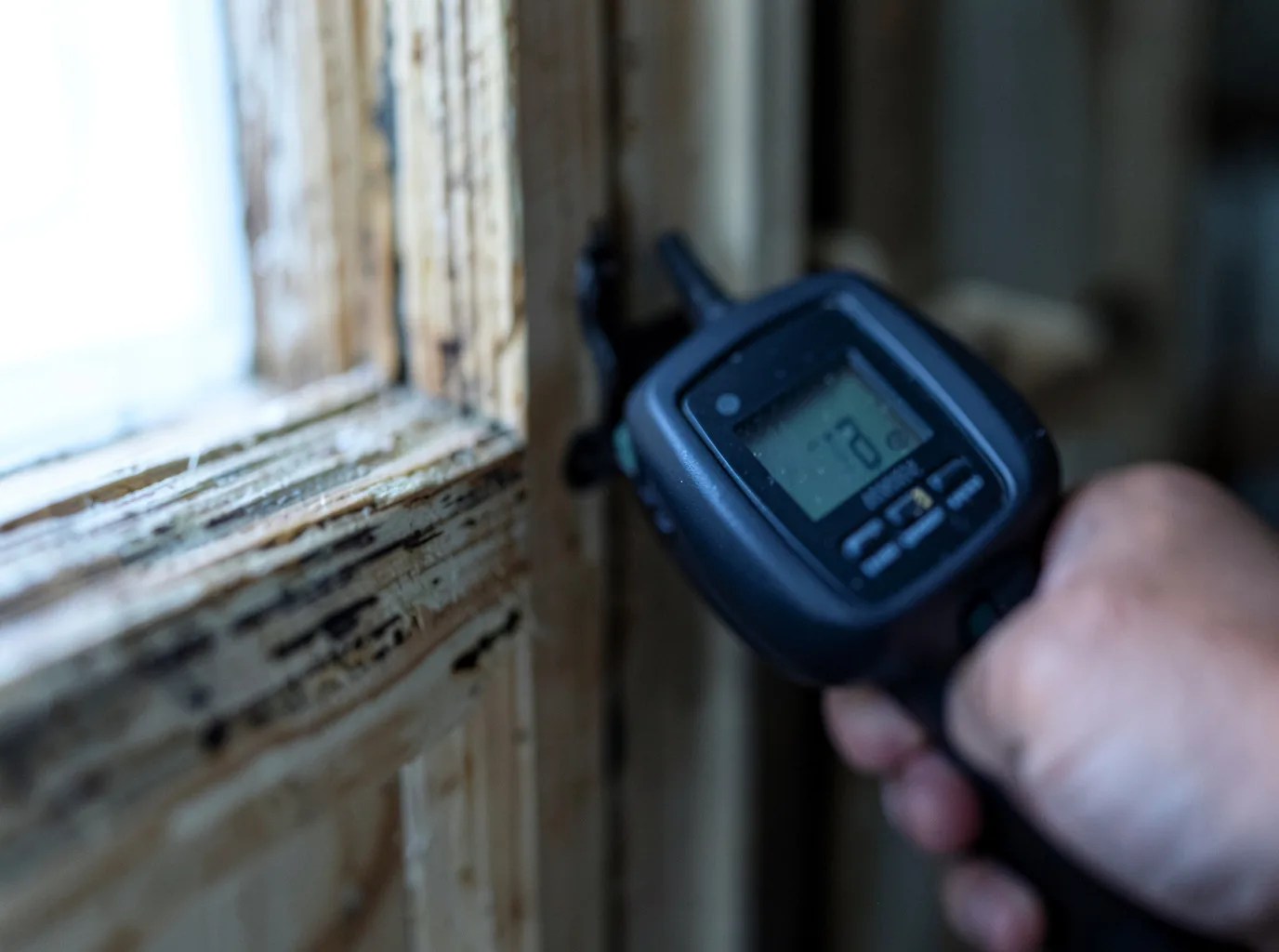 Moisture Inspection And Documentation in Jonesboro, TX